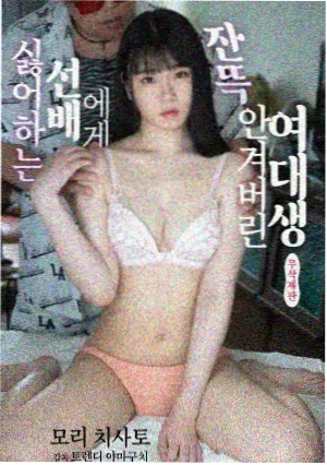 旧城手记剧集封面